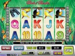 Birds of Paradise Slots